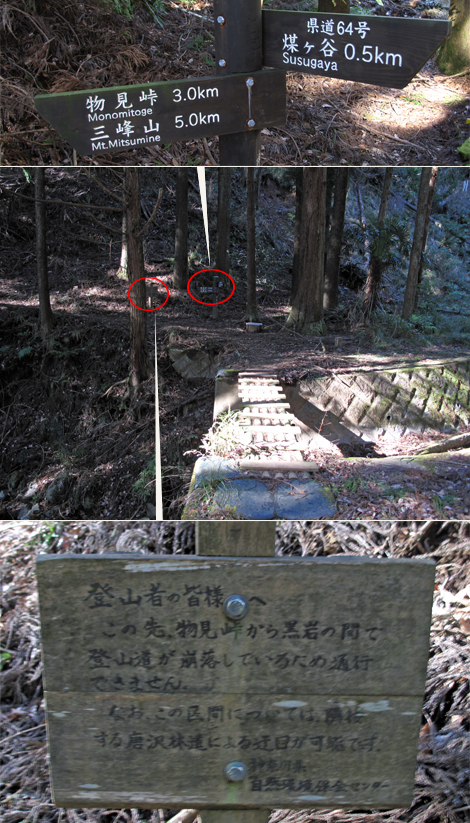 20170113hike (10)